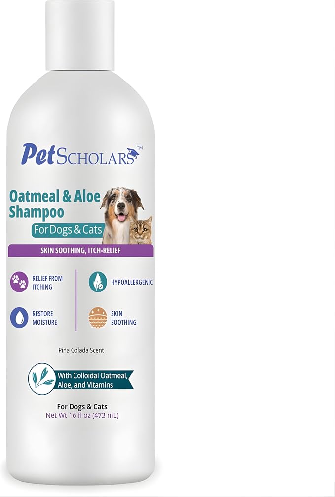 Oatmeal & Aloe Itch Relief Shampoo for Dogs & Cats (16 fl oz) | Anti Itch Shgampoo for Dogs & Cats
