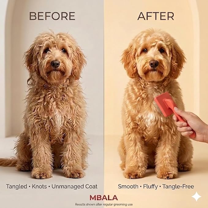 Dog Slicker Brush for Doodles, Goldendoodles & Labradoodles – Extra Long Pin Brush for Dematting & Deshedding – Removes Tangles, Knots & Loose Hair – Wooden Handle for Thick, Curly Coats (Large)