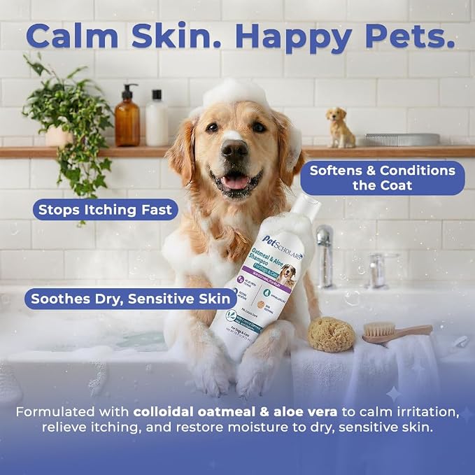 Oatmeal & Aloe Itch Relief Shampoo for Dogs & Cats (16 fl oz) | Anti Itch Shgampoo for Dogs & Cats