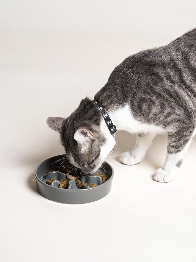 Ceramic Slow Feeder Dog Bowls Small Breed, 0.5 Cups Dog Food Dish for Fast Eaters, Puzzle Bowl for Small Dogs and Cats, 5.5 Inch-Grey