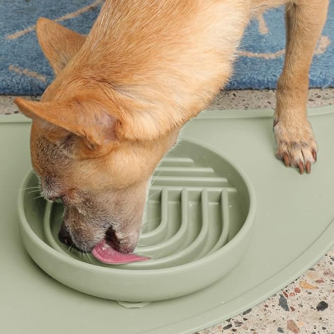 Should We Go? Slow Feeder Dog Bowls - Small Size Silicone Slow Eating Dog Bowl for Puppies & Dogs with Suction Cup -Dishwasher-Safe, Lick Mat Design, Reduces Gulping, for All Breeds, 6”x1.25”- Sage