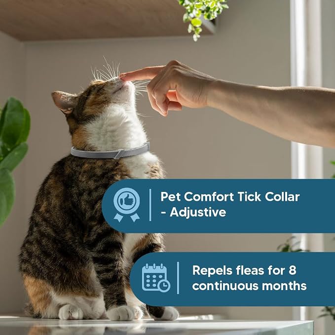 Flea Collar for Cats, Cat Flea Collar, Kitten Flea Collar, Flea and Tick Collars for Cats, Adjustable Cat Tick Collar with 8 Months Protection-2 Packs