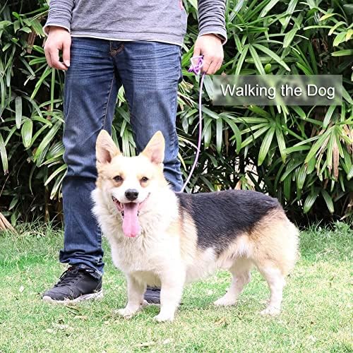 Puppy Pet Cat Dog Leash Collar Basic Accessories Reflective Retractable Dog Rope Pet Traction Belt 5FT(Medium 0.39IN, 24-66LB, Purple)