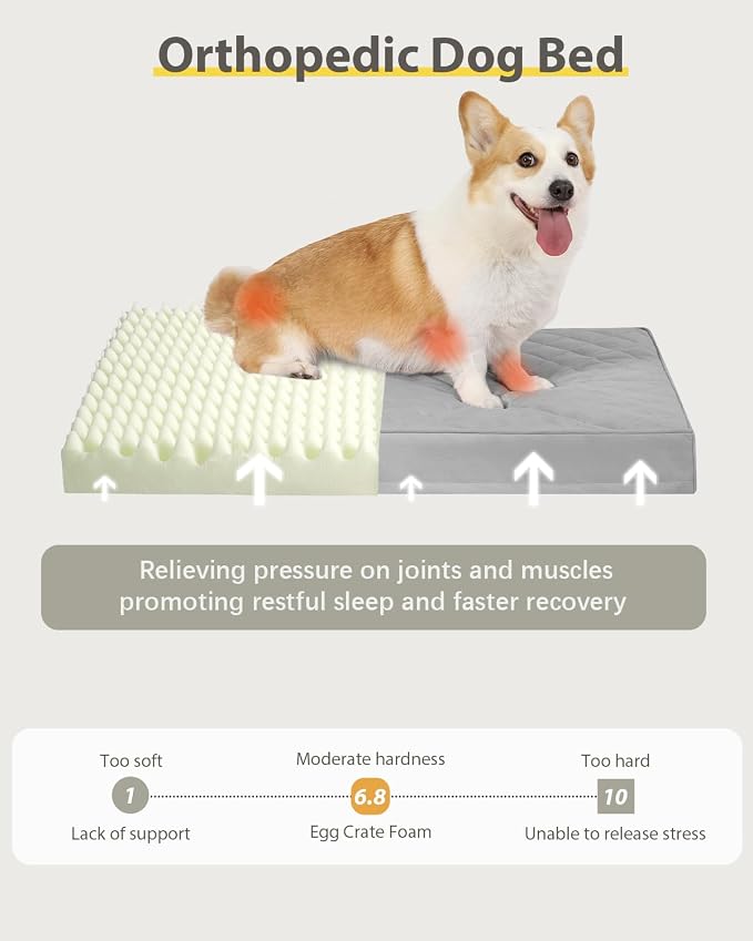 NUPIDA Orthopedic Dog Beds for Small Dogs Waterproof with Removable Washable Cover and Non-Slip Bottom, Quilting Dog Bed for Crate, 23x17 Inch, Light Gray