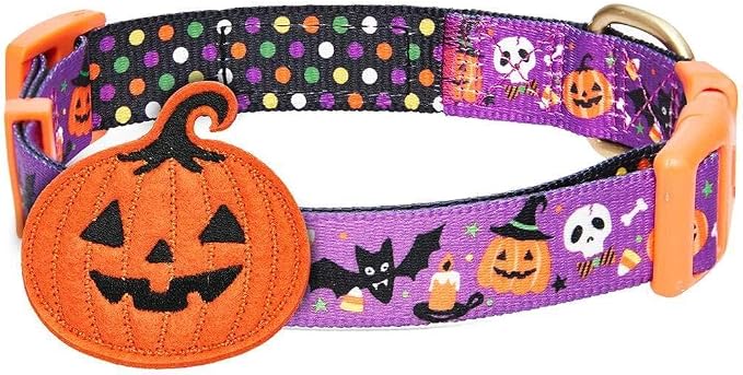 Blueberry Pet Halloween Pumpkin Party Designer Adjustable Dog Collar with Detachable Decoration, Large, Neck 18"-26"