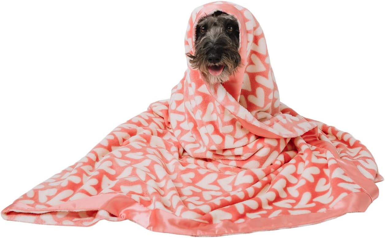 Darren & Phillip Puppy Love Blanket - Ultra-Soft Blankets Made with Plush Fleece - Perfect as a Dog Bed Blanket or for Cuddling with Your Pup - Ultra-Snuggly Blankets for Dogs & Humans