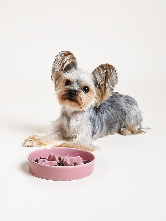 LE TAUCI PET Ceramic Slow Feeder Dog Bowls Small Breed, 0.5 Cups Dog Food Dish for Fast Eaters, Puzzle Bowl for Small Dogs and Cats, 5.5 Inch-Pink