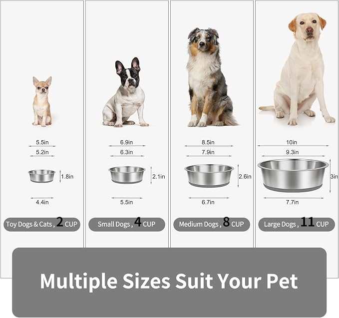 Taglory 2 Cup Stainless Steel Dog Bowls Set of 2 for Food and Water, Silicone Base Anti-Slip, Rust Resistant, Extra Thick Metal Dog Bowl for Cats and Puppies, 17oz, Gray