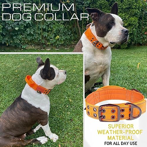 ADITYNA Heavy Duty Dog Collar for Large Dogs with Traffic Handle