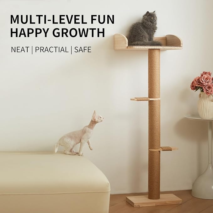 Cat Window Perch with Tall Scratching Posts, Inside 48 in Tall Climbing Tree Hammmock Mounted with Suction Cups for Climbing, Bird Watching, and Play, Supports 45 lbs