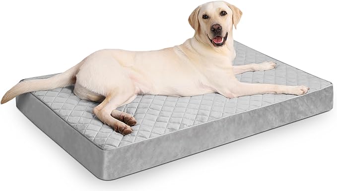 NUPIDA Jumbo Dog Bed for Extra Large Sized Dog Orthopedic Pet Bed with Removable Washable Cover and Non-Slip Bottom, 53x36 Inch, Light Gray