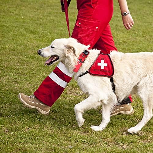 TSPRO Heavy Duty Thick Dog Collar with Metal Buckle for Large Dogs