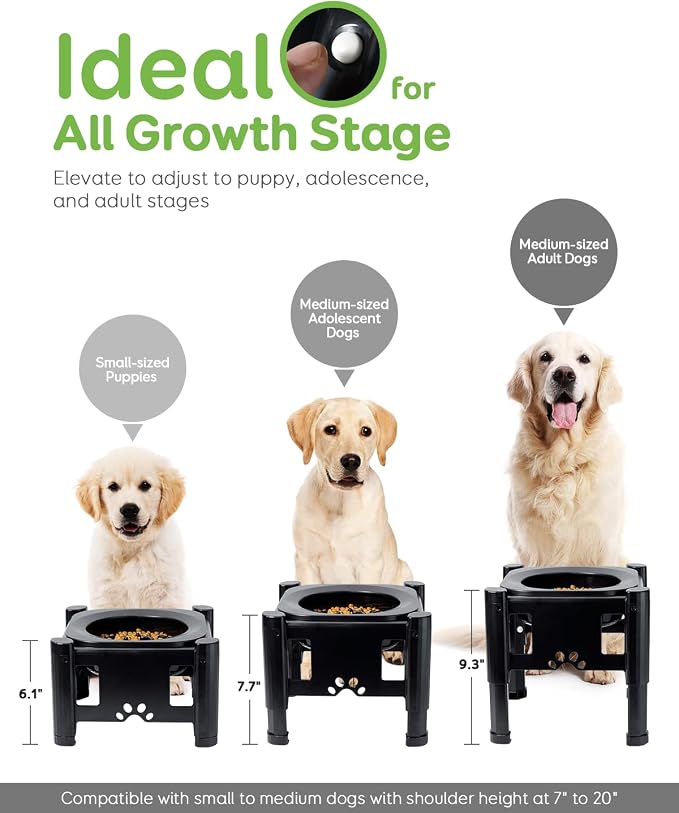 Elevated Slow Feeder Bowls - Adjustable Raised Dog & Cat Bowl | 3 Heights (6.1", 7.7", 9.3") for Medium & Small Pets, Mess Proof & Non-Slip Dish Feeder