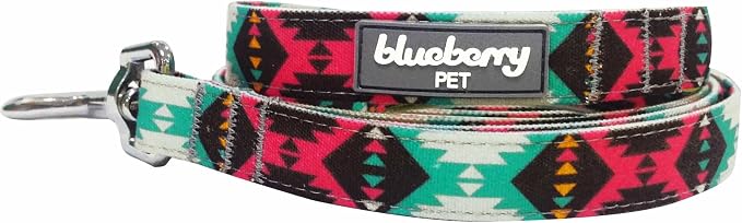 Blueberry Pet 2 Colors Southwestern Vintage Tribal Print Dog Leash with Soft & Comfortable Handle, 5 ft x 5/8", Extravagant Green, Small, Leashes for Dogs
