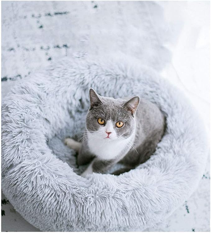 Modern Soft Plush Round Pet Bed for Cats or Small Dogs, Mini Medium Sized Dog Cat Bed Self Warming Autumn Winter Indoor Snooze Sleeping Cozy Kitty Teddy Kennel (20'' D x 8'' H, Light Grey)