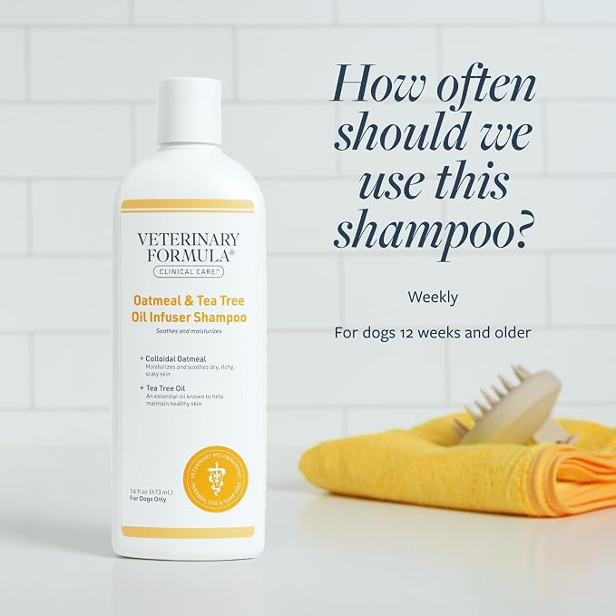 Veterinary Formula Clinical Care Oatmeal & Tea Tree Dog Shampoo, 16 oz | Gentle moisturizing care for dry, flaky skin and a soft, refreshed coat