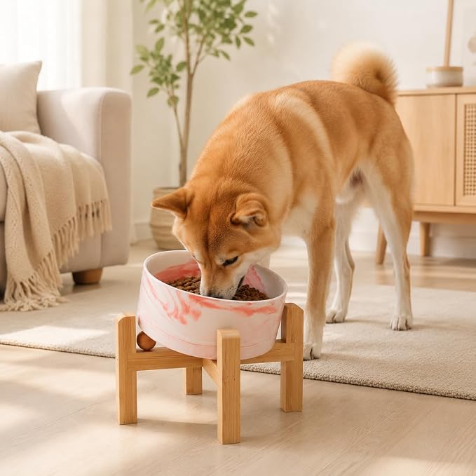 hjn Elevated Ceramic Dog Bowl 15°Slanted Raised Dog Bowl with Bamboo Stand for Small Medium Dogs and Cats, Pet Feeder -3.6-Cup (850ml)-Marble Pink