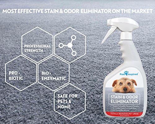 Paw Inspired Enzymatic Cleaner, Pet Stain & Odor Eliminator Spray