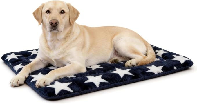 Washable Dog Bed Mat With Anti-Slip Bottom, Deluxe Plush Memory Foam Crate Pad & Waterproof Outdoor Kennel Mat For Dogs & Cats-Durable Crates Beds, Large Medium Small Puppy Size 36" x 24",Blue