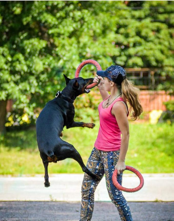 Dog Disc Toy Flying Ring Pets Flying Disc Dog Chew Toys Non-Toxic Fitness Ring Dogs DT103 Red 10.8 inch