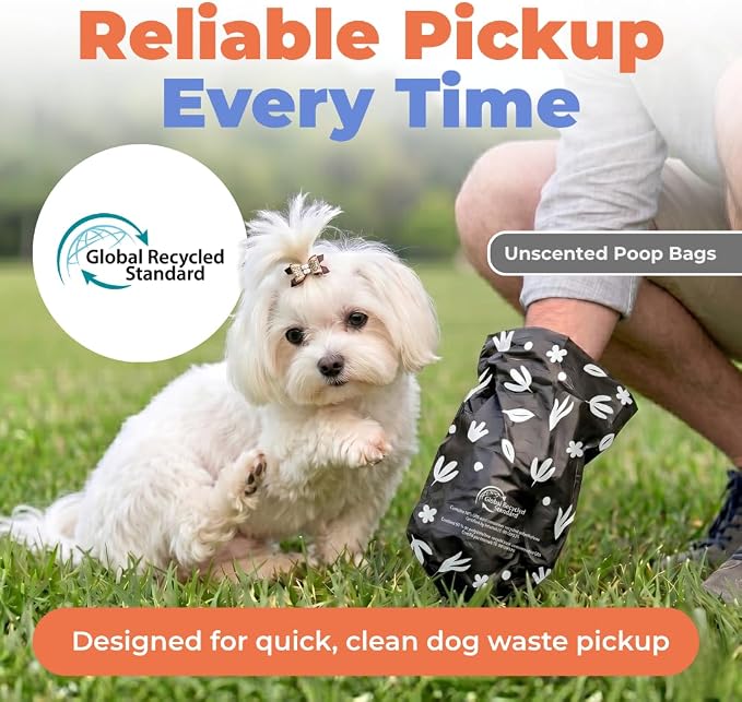 Best Pet Supplies Dog Poop Bags for Waste Refuse Cleanup, Doggy Roll Replacements for Outdoor Puppy Walking and Travel, Leak Proof and Tear Resistant, Thick Plastic - Black (Unscented), 600 Bags