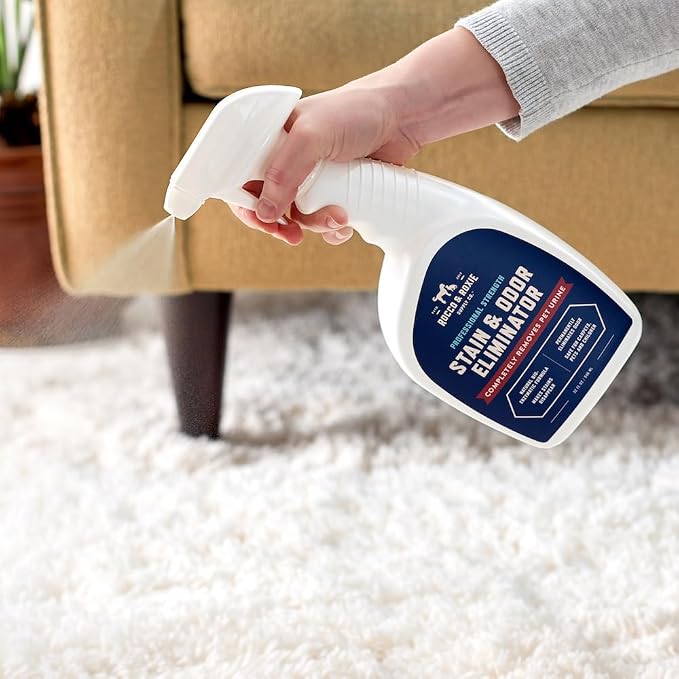 Rocco & Roxie Enzyme Stain & Odor Eliminator, 32 Fl Oz | Bio-enzymatic urine destroyer; CRI Certified Safe; made in USA; for carpets, bedding, litter boxes, crates & cars