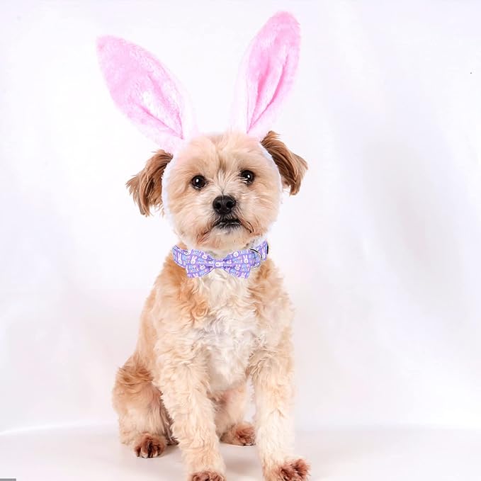 ·MR. CHUBBYFACE· Easter Dog Collar Rabbit Puppy Collar with Bow, Adjustable Pet Collar Bowtie for Small Medium Large Dogs