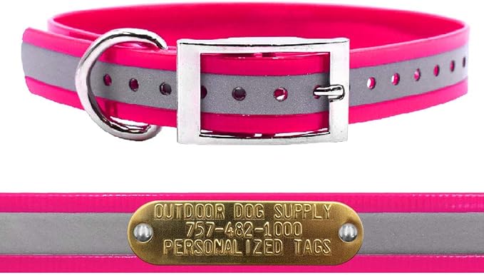 Outdoor Dog Supply 1" Heavy Duty Reflective Waterproof D-Ring Dog Collar for Medium & Large Dogs with 3/4" Custom Brass Nameplate (Reflective Pink, 18")