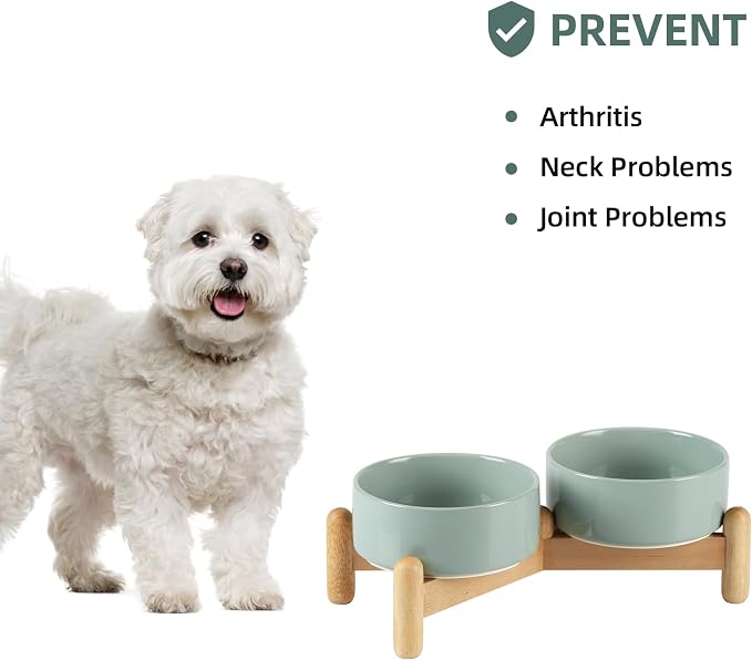Havniva 5.1inch Ceramic Raised Dog Bowl with Stand, Double Dog Bowls Elevated for Small Breed Dog Food and Water Bowl Set Non-Slip Dog Dish Large Capacity Feeding Pet Water Bowl