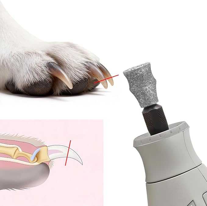 Dog Nail Grinder Bits for Dog and Cat Pet Nail Grinder Attachment Pet Nail File & Clippers for Medium Large Dogs C (2Pack)