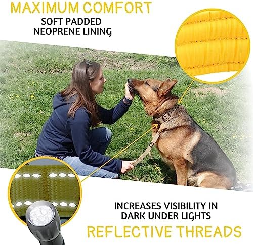 ADITYNA Heavy Duty Dog Collar for Medium Dogs with Traffic Handle
