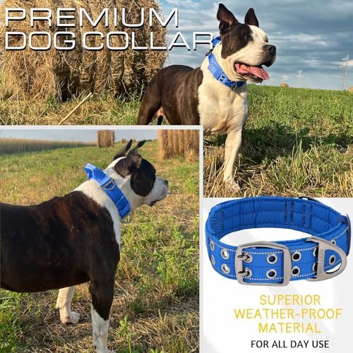 ADITYNA Heavy Duty Dog Collar for Medium Dogs with Traffic Handle