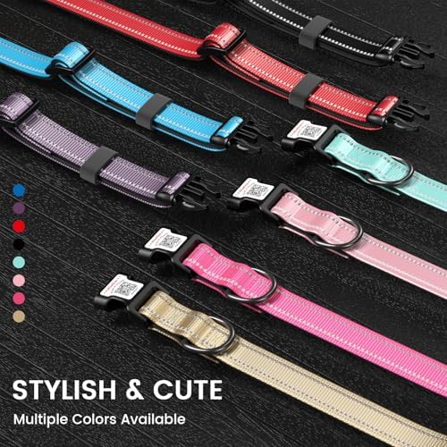 Personalized Dog Collar with QR Code Dog Tag, Wine 05 S