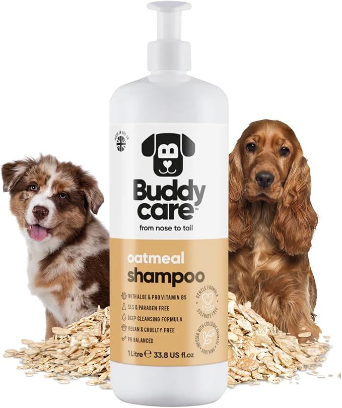 Buddycare Oatmeal Dog Shampoo for Smelly Dogs (33.8oz) - Hypoallergenic & Itch Relief Formula, Gentle on Sensitive Skin, Includes Dog Shampoo and Conditioner - Essential Dog Grooming Supplies