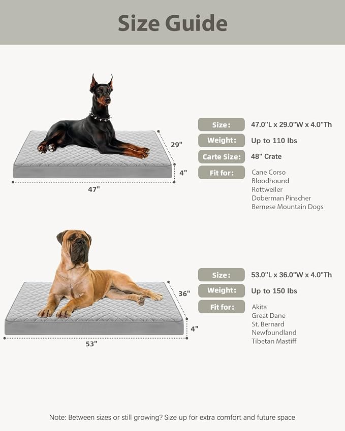 NUPIDA Orthopedic Dog Beds for Medium Dogs Waterproof Dog Bed for Crate, with Removable Washable Cover and Non-Slip Bottom, 29x18 Inch, Light Gray