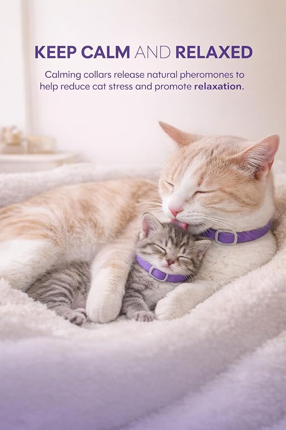 4 Pack Calming Collar for Cats: Anti Anxiety - cat Stress and Anxiety Relief, cat pheromone Collar