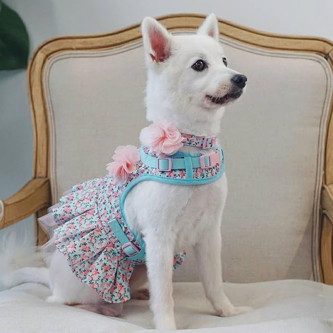 Blueberry Pet Made Well Cute Floral Print Adjustable Dog Collar in Light Blue with Pink Artificial Silk Flower, Small, Neck 12"-16"