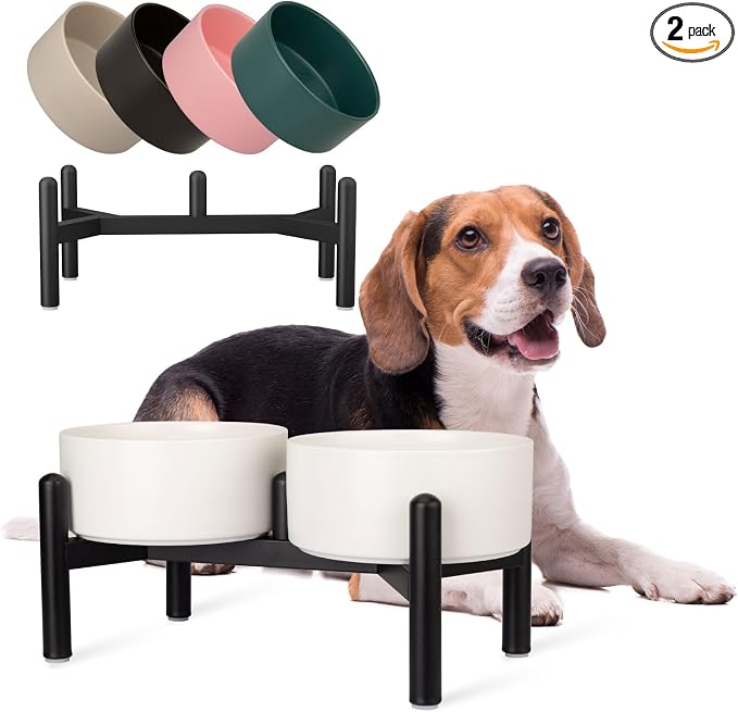 Raised Ceramic Dog Bowl Set with Stand, 3.5 Cups Elevated Dog Food Stand | 6.1'' Double Dog Food and Water Bowl Set, Non-Slip Dog Feeding Dishes for Small to Medium Breeds, 29.57 OZ, White