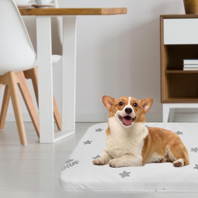 Waterproof Dog Bed for Large Dogs, Memory Foam Dog Beds & Furniture | 38” x 26" x 1.5" for Large Sized Dogs With Anti-slip & Washable Removable Cover, Soft Flannel Top Pet Beds, Light Grey