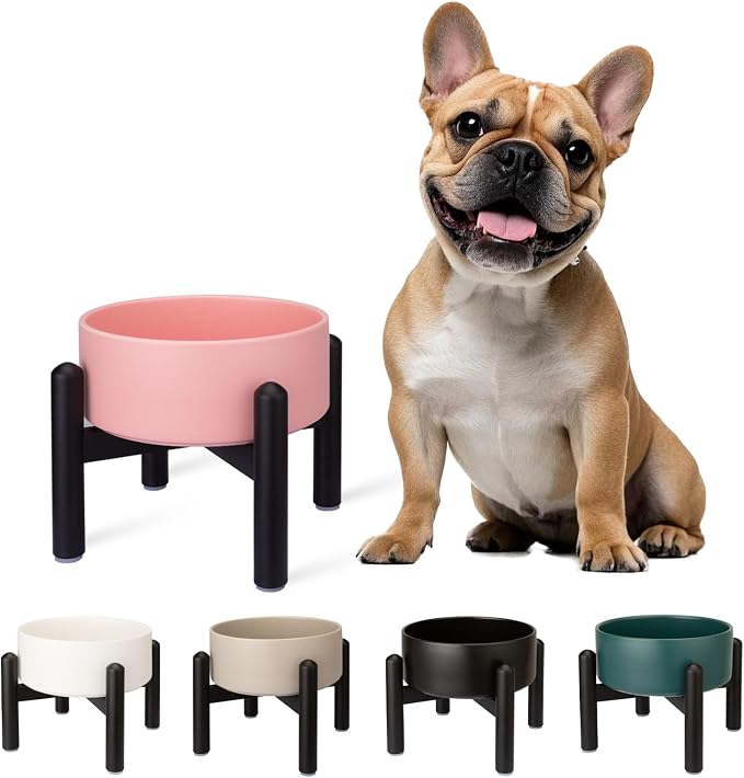 Raised Ceramic Dog Bowl, 6.1'' Modern Feeding Bowl with Non-Slip Stainless Steel Stand, Elevated Food or Water Dish for Small to Medium Dogs, 2 Cups (28.75 fl oz)- Pink