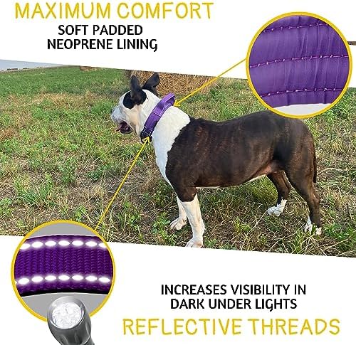 ADITYNA Heavy Duty Dog Collar for Large Dogs with Traffic Handle