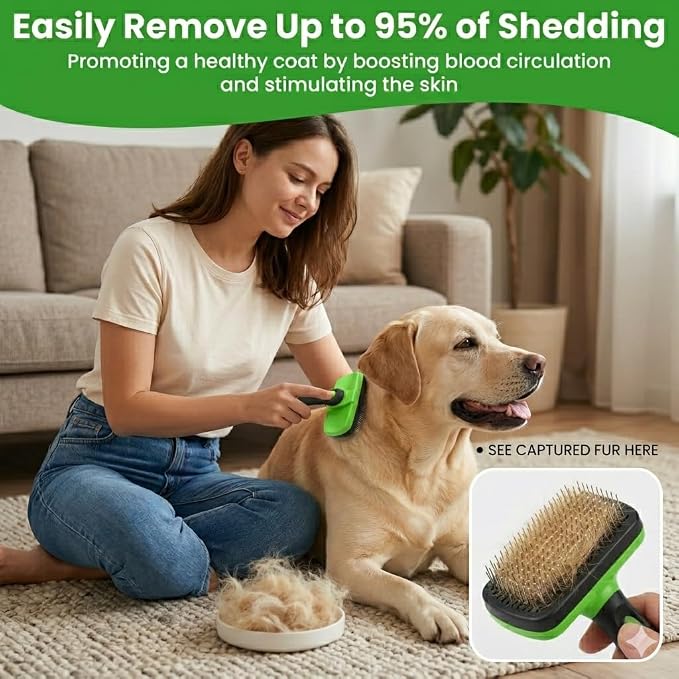 A Pet Self Cleaning Skin Friendly Brush and A Pet Hair Removal Glove