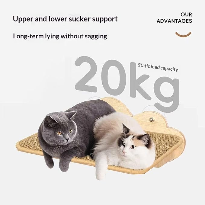 Cat Paradise Space Capsule Window Cat Bed, Suction Cup Mount, Clear Acrylic Bowl with Wood Shelf, 20kg Load Capacity