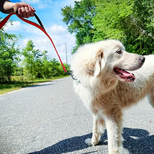 Joytale Dog Leash for Large Dogs that Pull, Double Handle, 4FT, Red