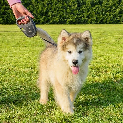 Ferplast Retractable Dog Lead Extendable Dog Leash Dogs Flippy ONE Tape S, Extendable Tape, 4 m, max 15 kg, Black