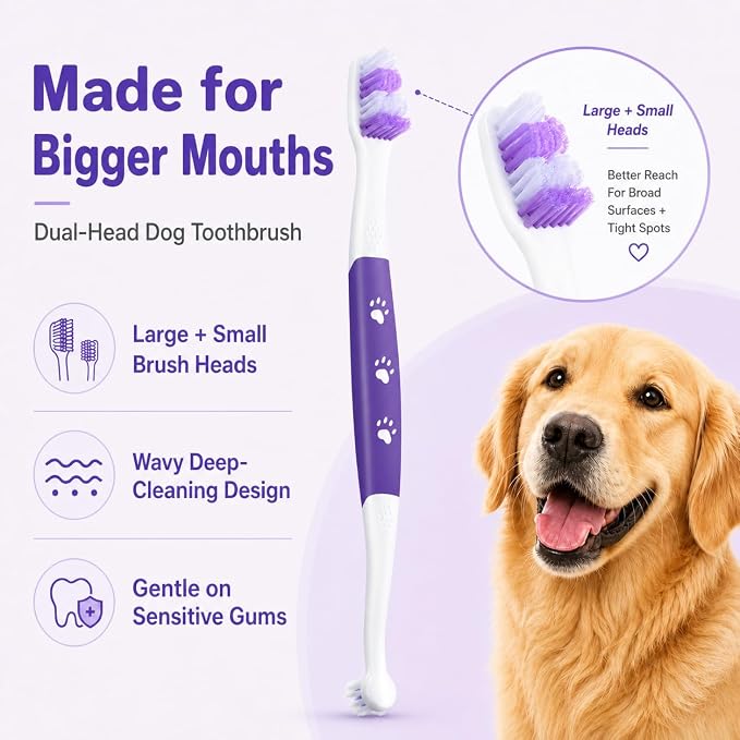 Dog Toothbrush Kit, 2.5oz Toothpaste, Dual-Head & Finger Brush | Gentle Dog Care. For Dogs Over 20 lb. Soft Brush Comfort. Coconut Chicken Flavor. Easy Daily Routine.