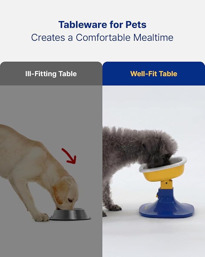 Well Fit Elevated Dog Bowl Stand, Yellow & Blue | Adjustable Height 4.5–7.4 in with 0–22° Tilt, Stable Non-Slip Feeding Stand for Dogs & Cats, Bowl Not Included