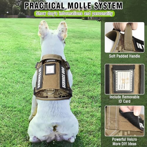 Tactical Dog Harness and Leash Set with 10 Patches for Medium Dogs