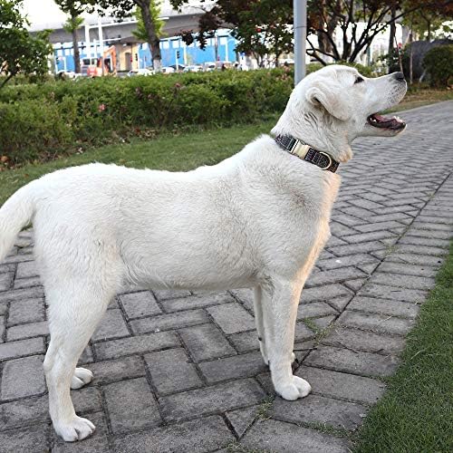 Customized Nylon Dog Collar, Personalized Dog Collar Engraved with Name and Phone Number,Adjustable ID Dog Collar with Quick-Release Buckle-(Indian-Black,M)