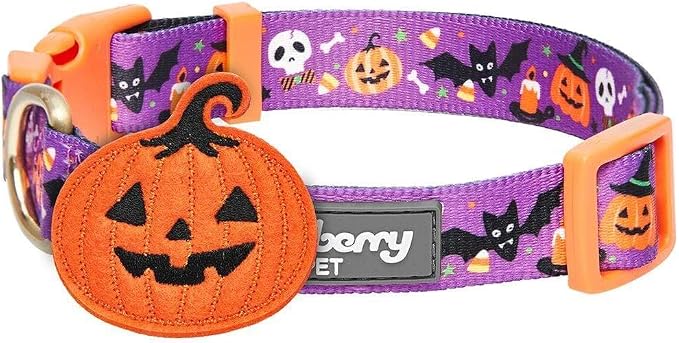 Blueberry Pet Halloween Pumpkin Party Designer Adjustable Dog Collar with Detachable Decoration, Large, Neck 18"-26"